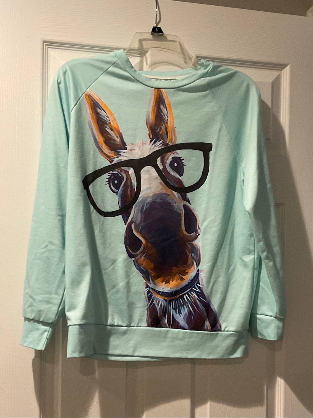 Mint Sweatshirt with Playful Donkey Graphic